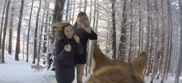 Matrimonio sotto la neve: il video girato dal loro cane