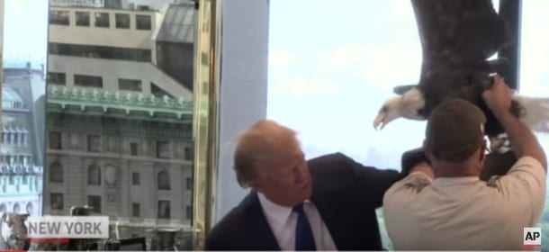 Donald Trump attaccato da un'aquila durante uno spot: per la Rete è un segno