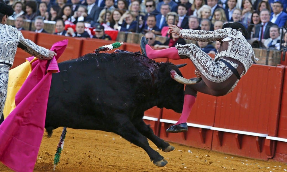 Torero ucciso durante una corrida. Non succedeva da 30 anni [VIDEO]