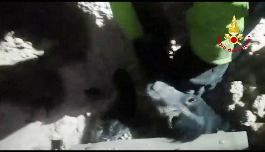 Terremoto a Norcia, nuova scossa. Cagnolino salvato dalle macerie [VIDEO]