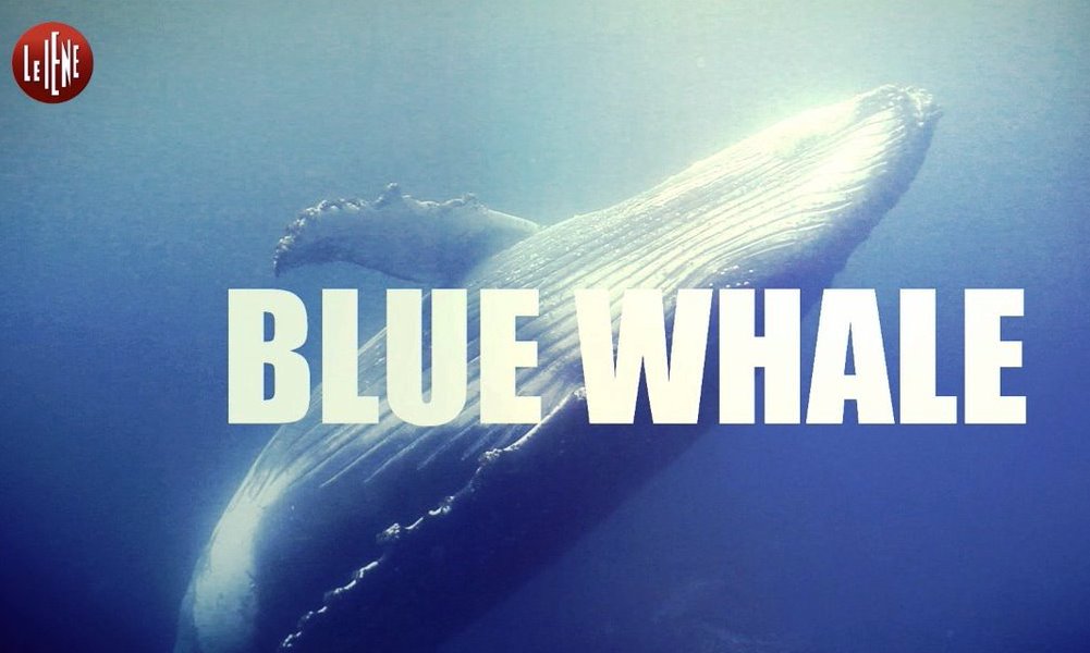 Alle Iene il servizio sconvolgente sul Blue Whale, il suicidio per 
