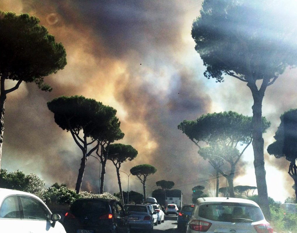 Roma, l'ombra della mafia sulla pineta di Castel Fusano in fiamme [VIDEO]