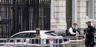 Un'automobile si è schiantata contro i cancelli di Downing Street, la residenza del premier britannico Rishi Sunak con la famiglia, a Londra. 