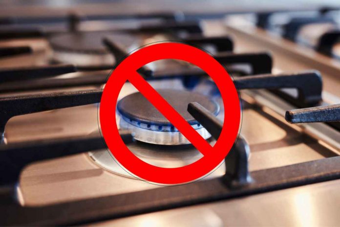 L'Unione Europea vuole sostituire le cucine a gas