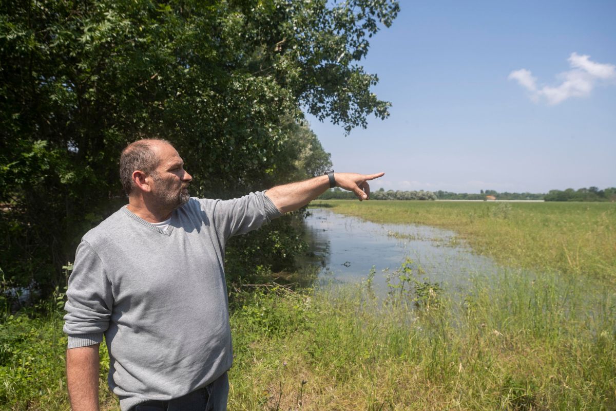 Gli agricoltori salvano il centro storico di Ravenna: "Al governo chiediamo interventi per ricominciare"