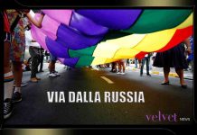 lgbtq+