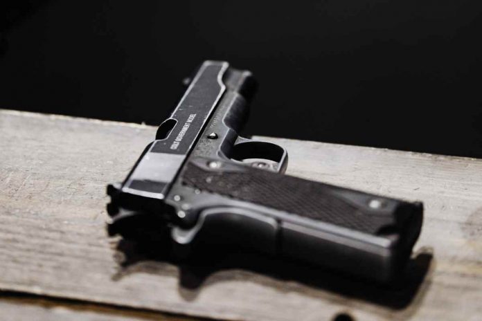 Pistola La strana sentenza Usa sulla vendita delle armi ai 18enni