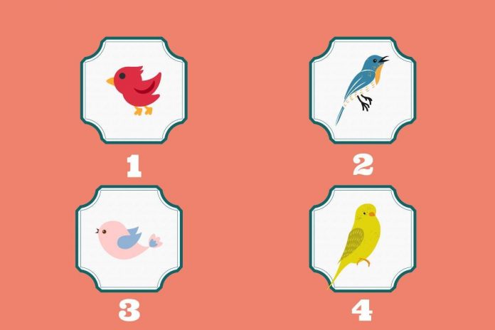 Test della personalità Test, scopri come ti comporti con gli altri
