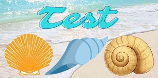 Test della personalità delle conchiglie