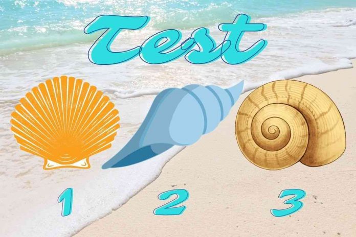 Test della personalità delle conchiglie